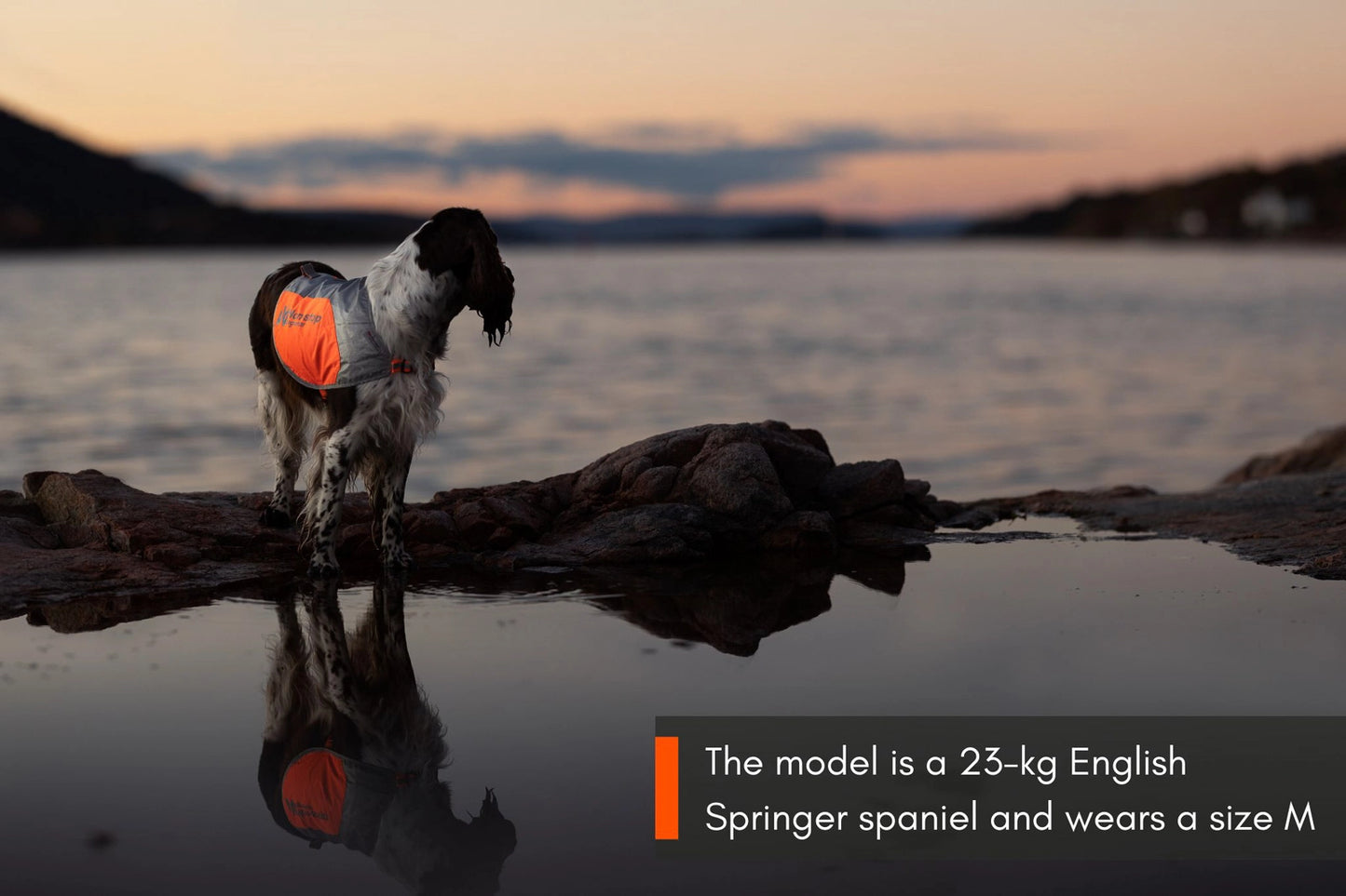 Reflection blanket - refleksvest til hunde