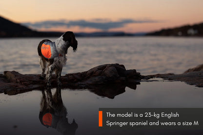 Reflection blanket - refleksvest til hunde