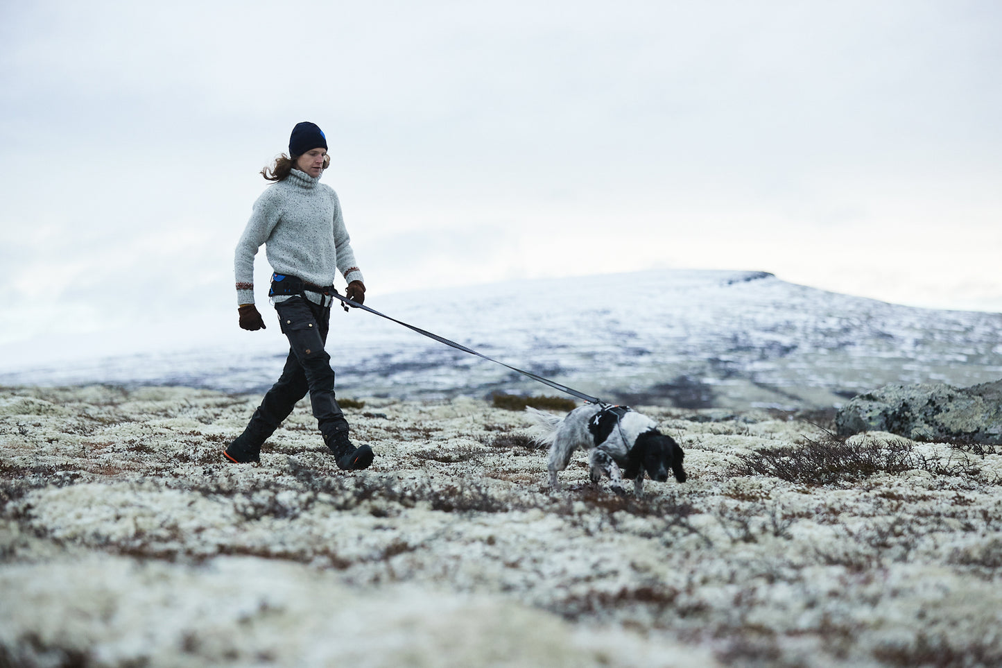 Touring bungee leash - hundesnor med elastik