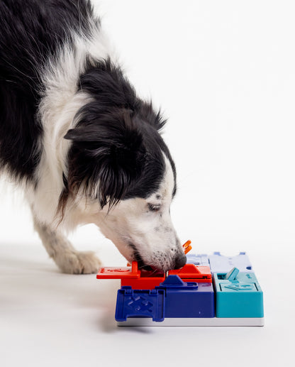 Pawzler Genius-sæt hund bruger snude til skubbe låget for at finde de gemte godbidder i aktiveringslegetøjet. 