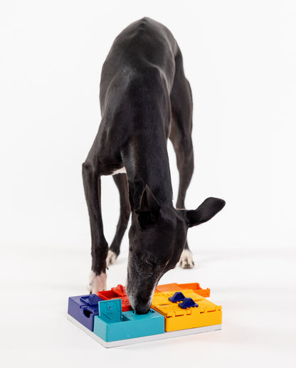 Pawzler Genius-sæt hund bruger snude til at finde de gemte godbidder i aktiveringslegetøjet. 