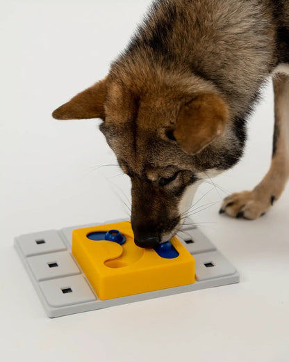 Hund bruger Pawzler Kaya-modulet for at finde skjulte godbidder.