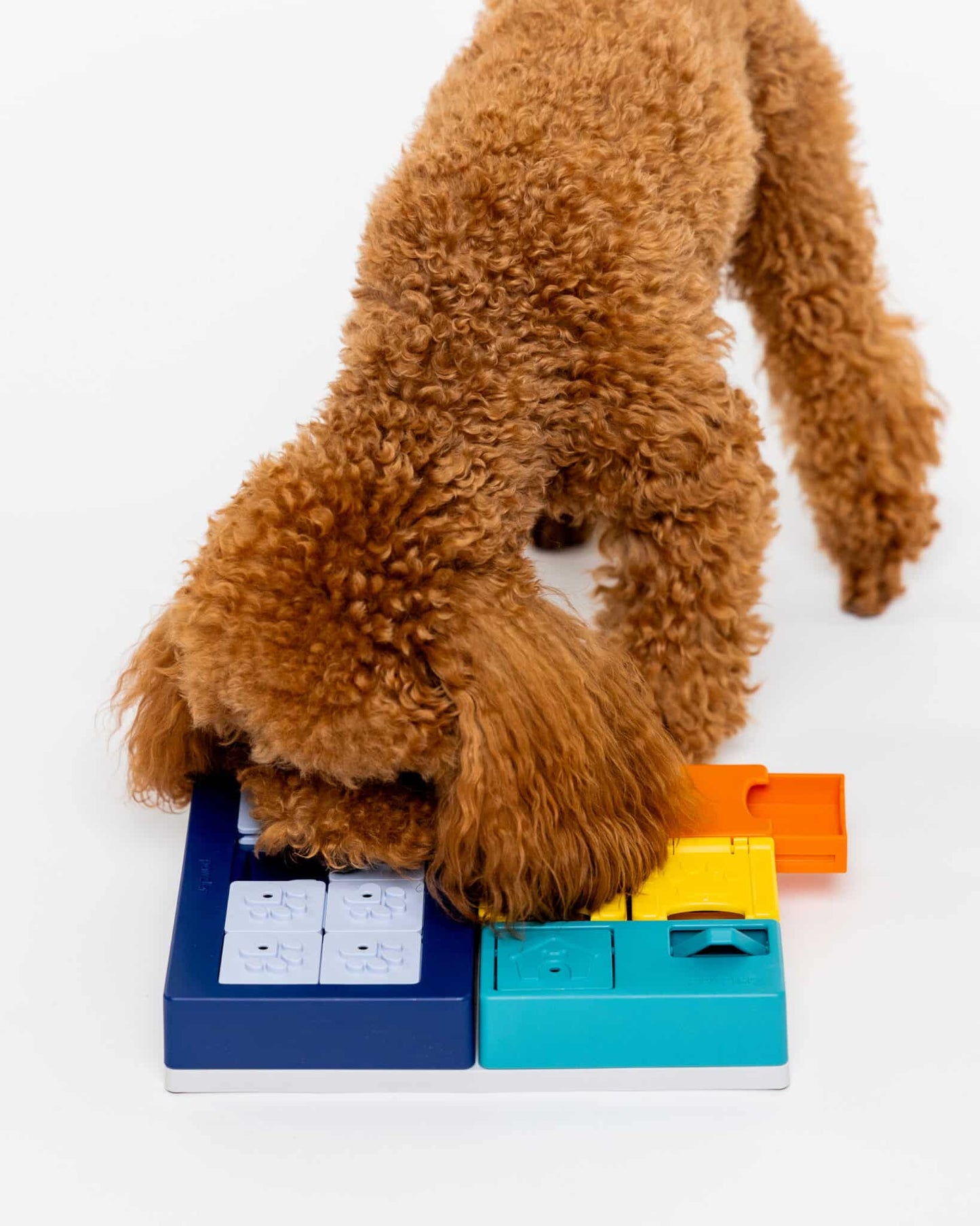 Pawzler Smarty-sæt aktiveringslegetøj hvor hund finder skjulte godbidder. 