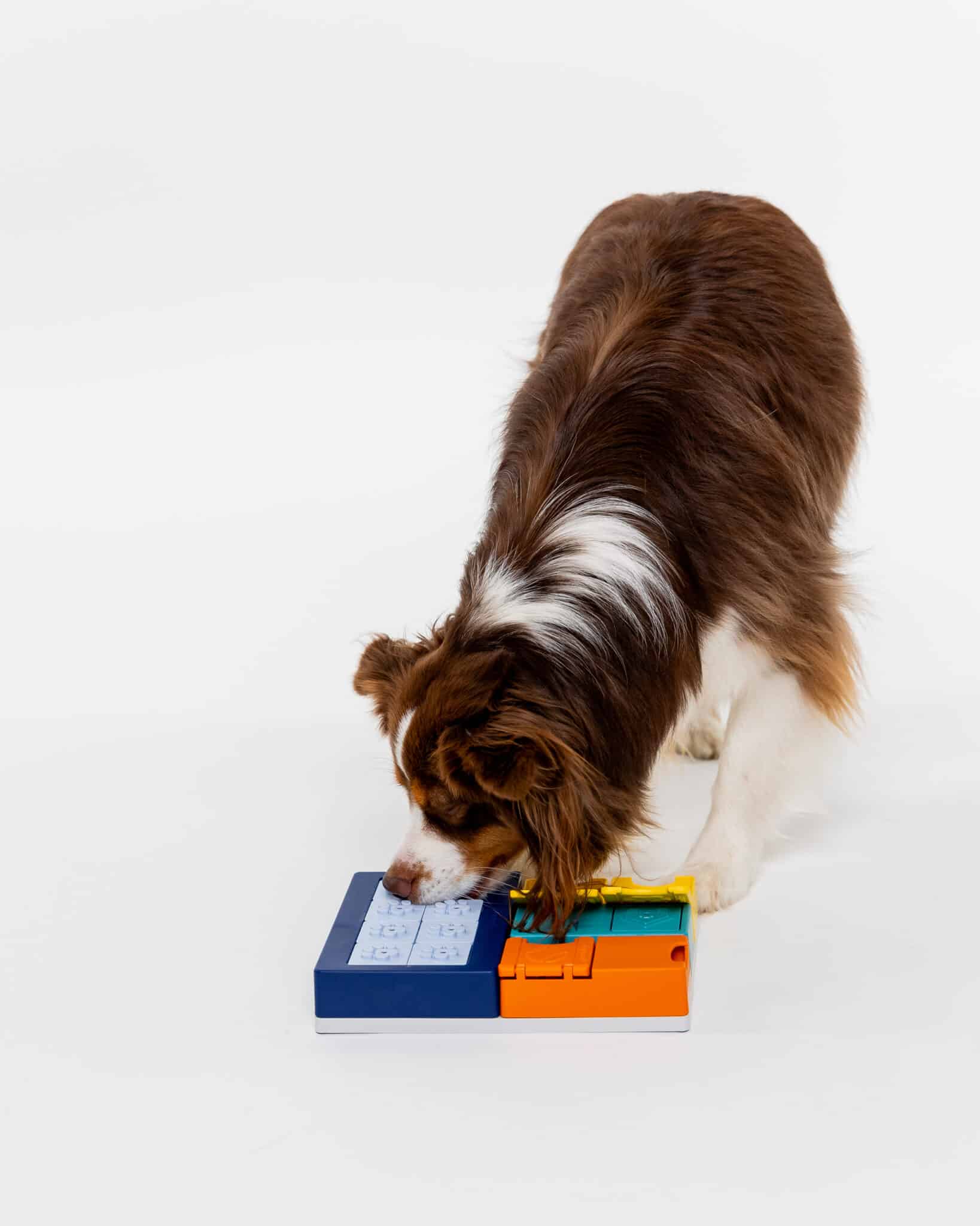 Pawzler Smarty-sæt aktiveringslegetøj til hunde. Hunde finder de skjulte godbidder.