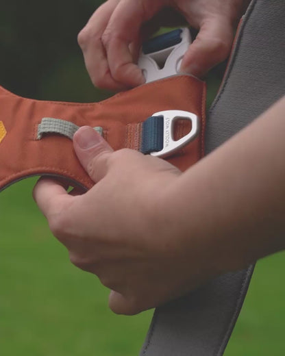 Alpha 360 hundesele Terracotta Mix