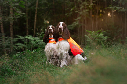 Protector cover 2.0 - synlighedsvest til hunde
