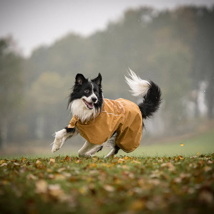 Cloudshell Rain jacket - Brown