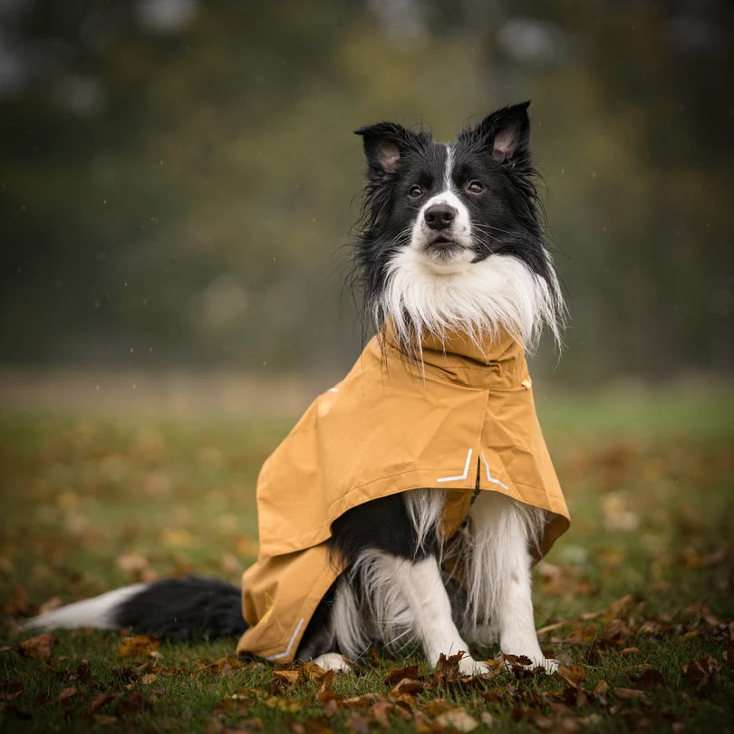 Cloudshell Rain jacket - Brown