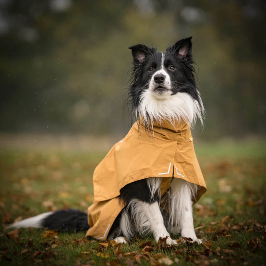 Cloudshell Rain jacket - Brown