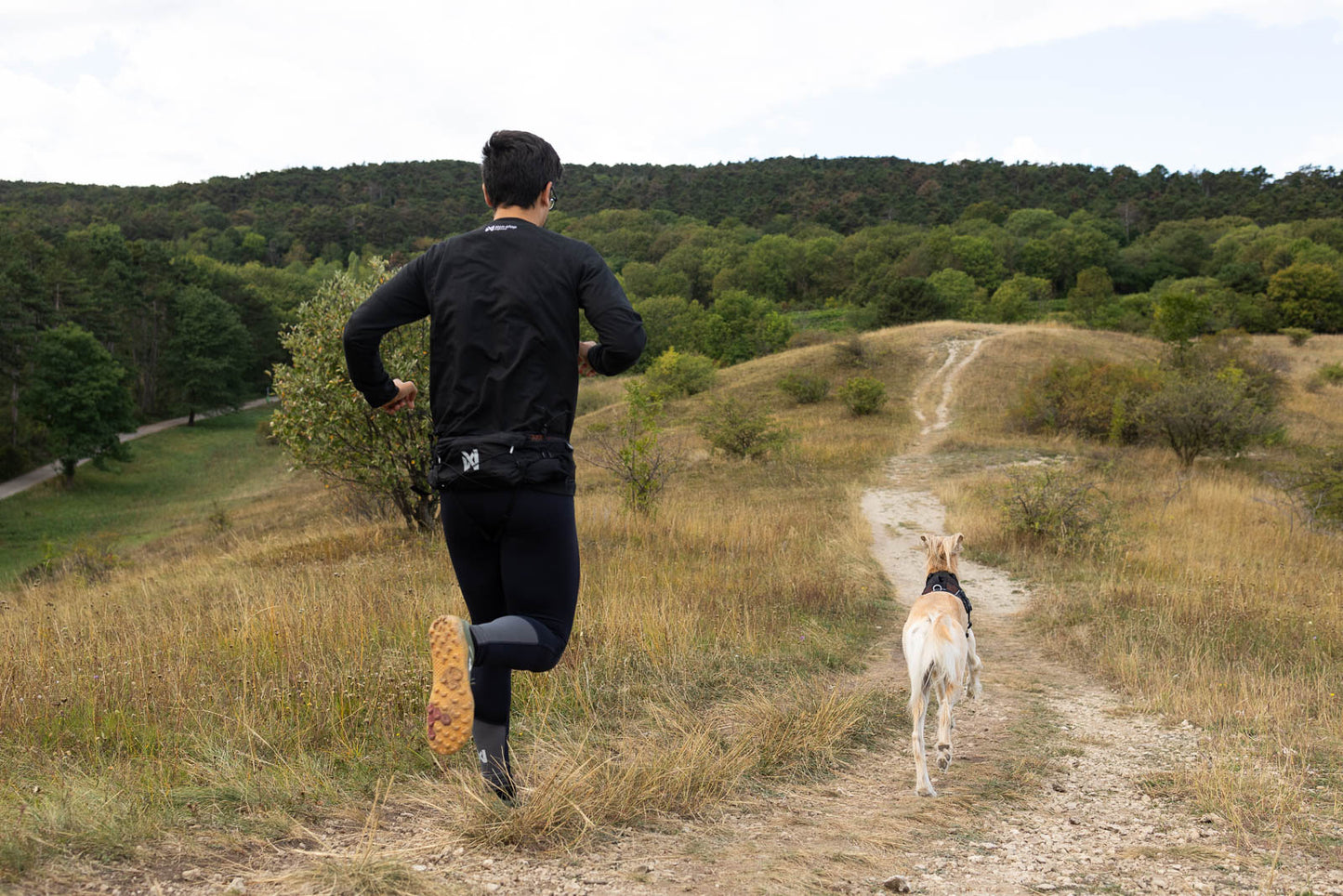 Trail light belt - vandre- og løbebælte