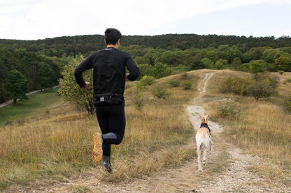 Trail light belt - vandre- og løbebælte