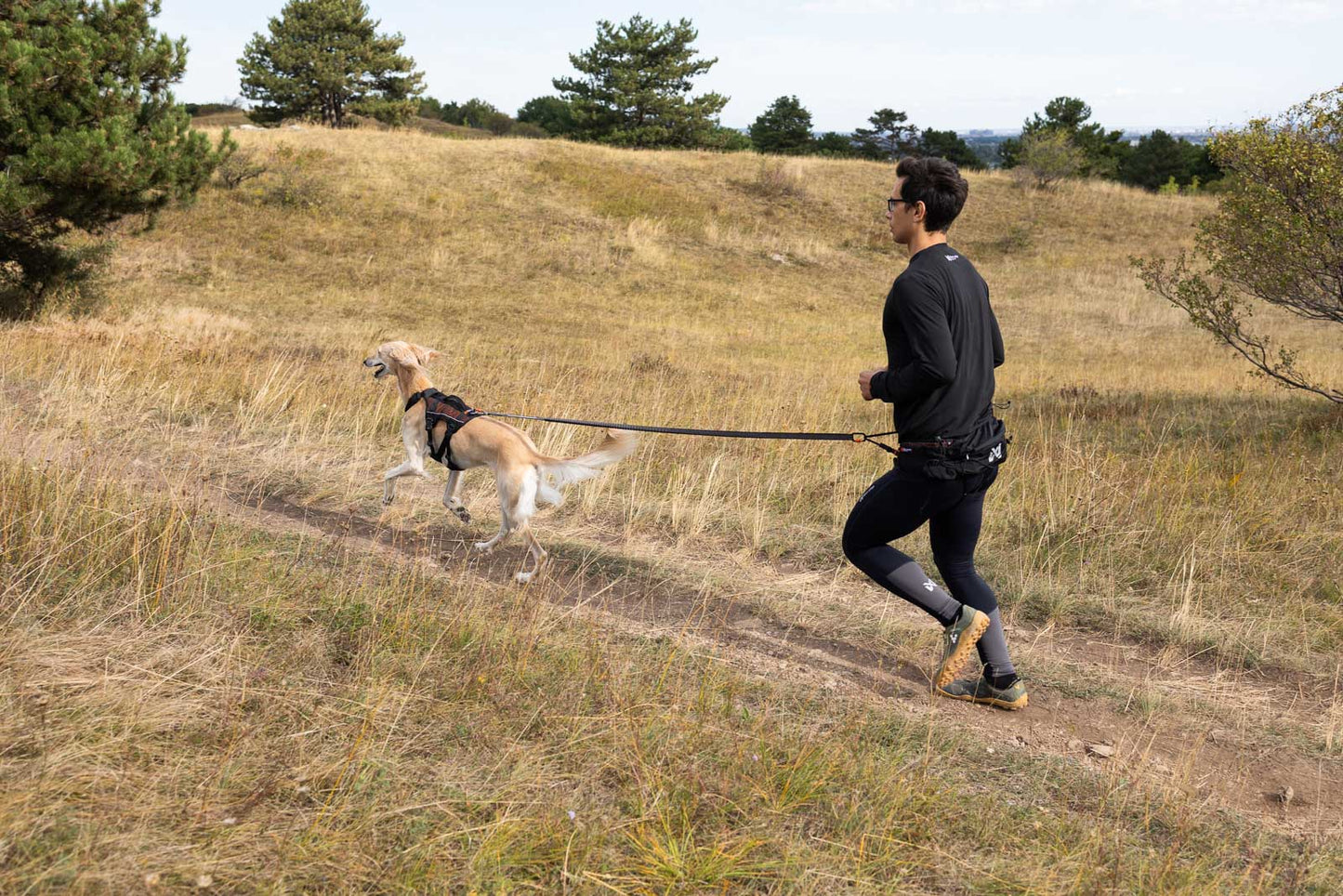Trail light belt - vandre- og løbebælte