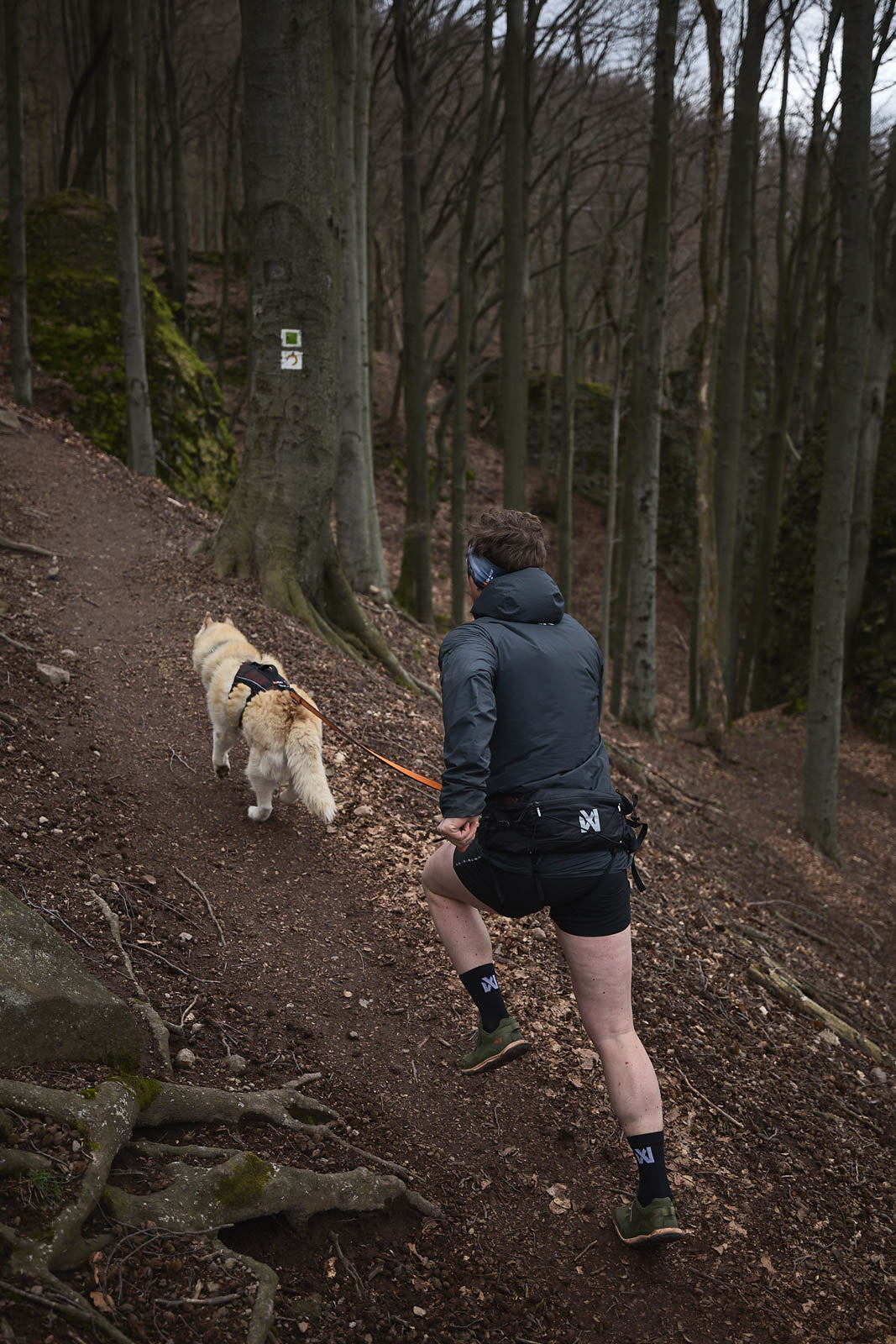 Trail light belt - vandre- og løbebælte