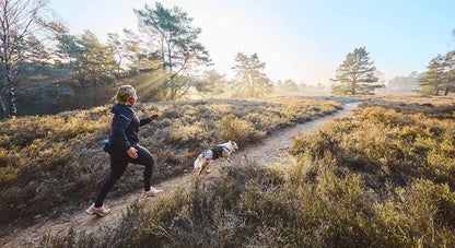Trail light belt - vandre- og løbebælte