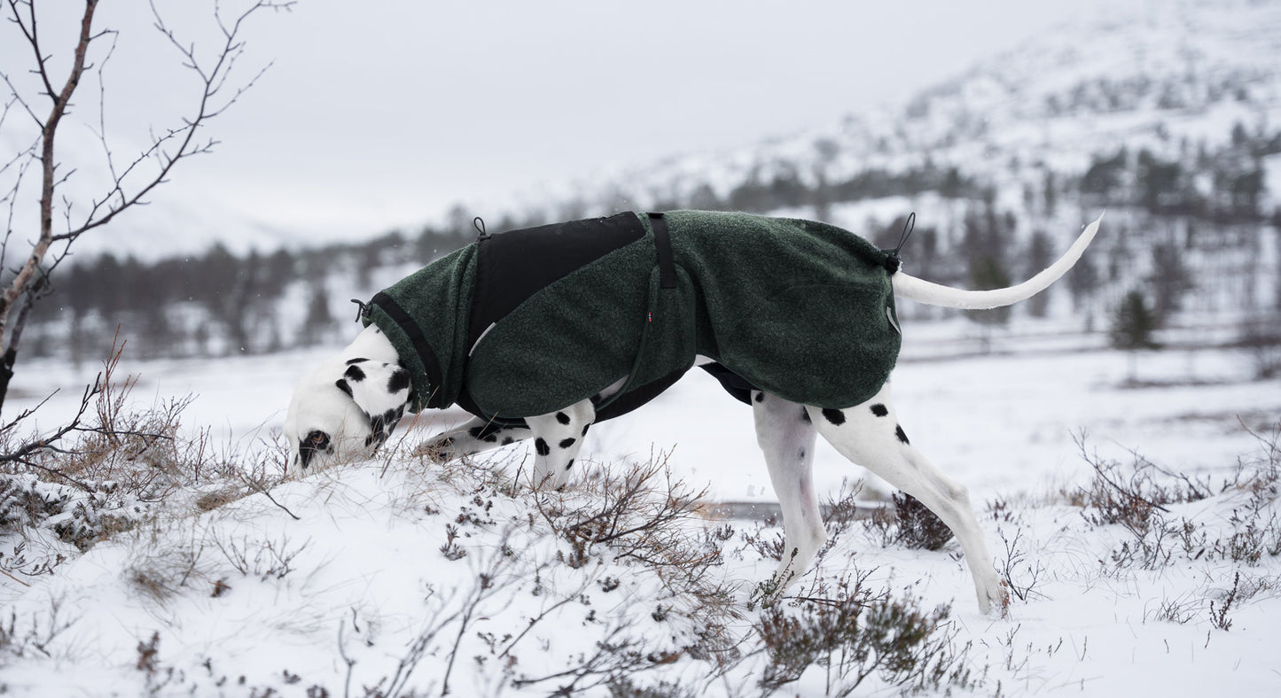 Wool dog jacket