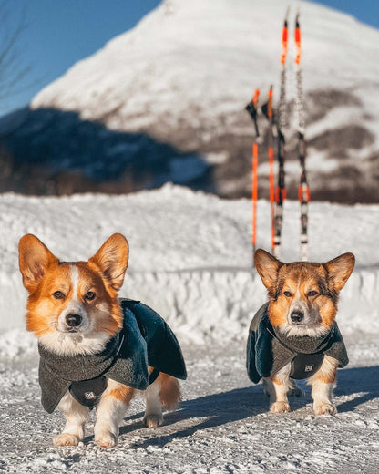 Wool dog jacket