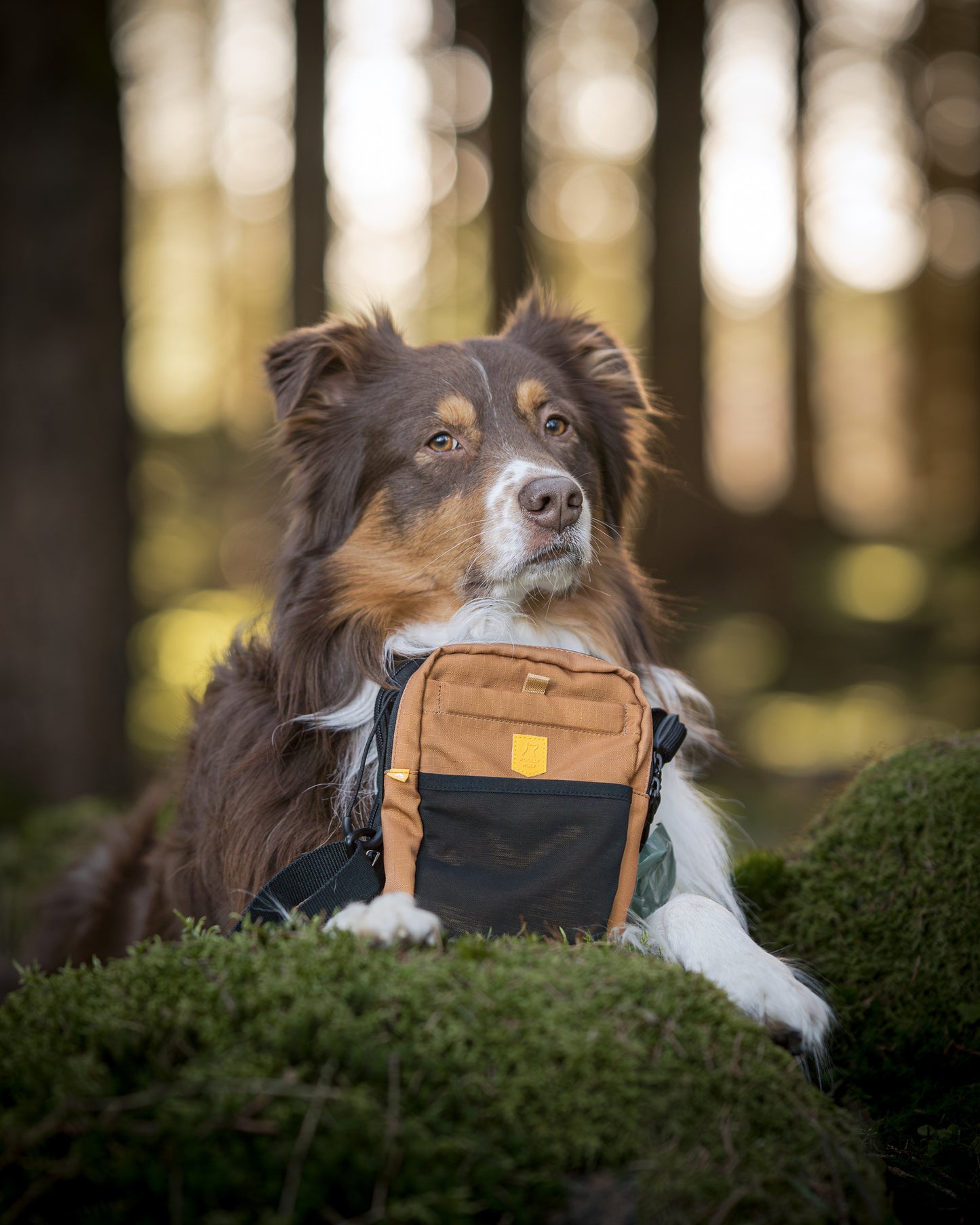 Hydration Shoulder Bag Wood Brown Mix - Godbidstaske